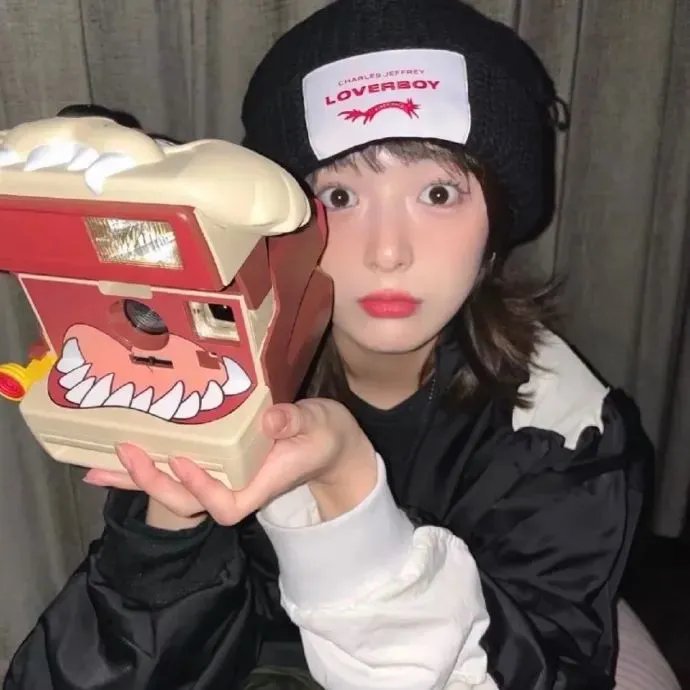 当哈维遇见鲍勃